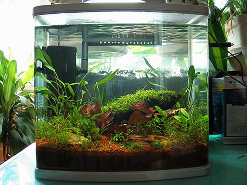 合肥魚缸